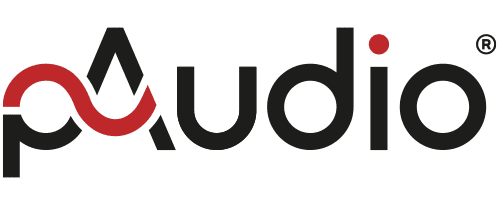 Logo pAudio